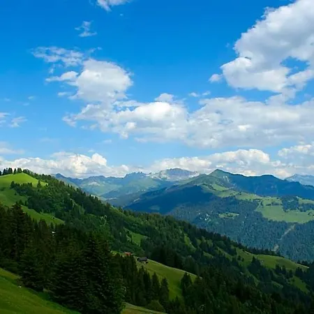 Gaestehaus Alpina In Hotel 2*