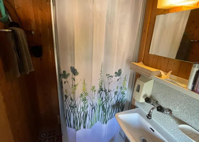 Отель Gaestehaus Alpina In Fanas